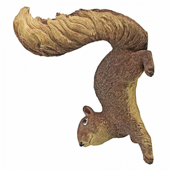 Design Toscano Simone The Squirrel