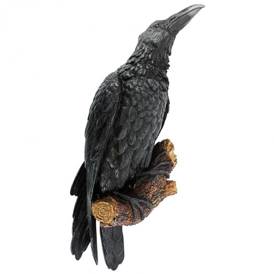 Design Toscano Ravens Perch Plaque