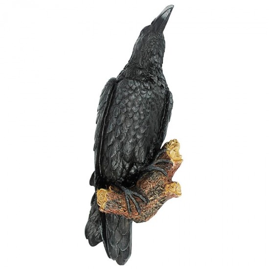 Design Toscano Ravens Perch Plaque