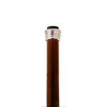 Design Toscano Gargoyle Water Spout Walking Stick
