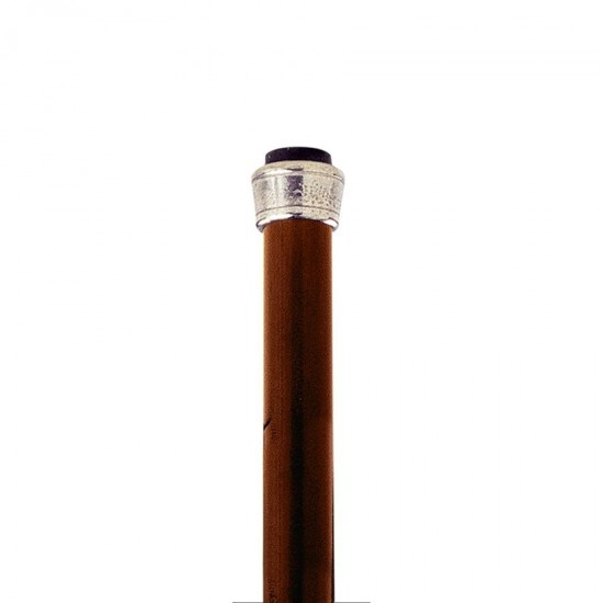 Design Toscano Gargoyle Water Spout Walking Stick