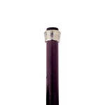 Design Toscano Ecstasy Walking Stick