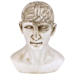 Design Toscano Phrenology Science Of The Brain Statue