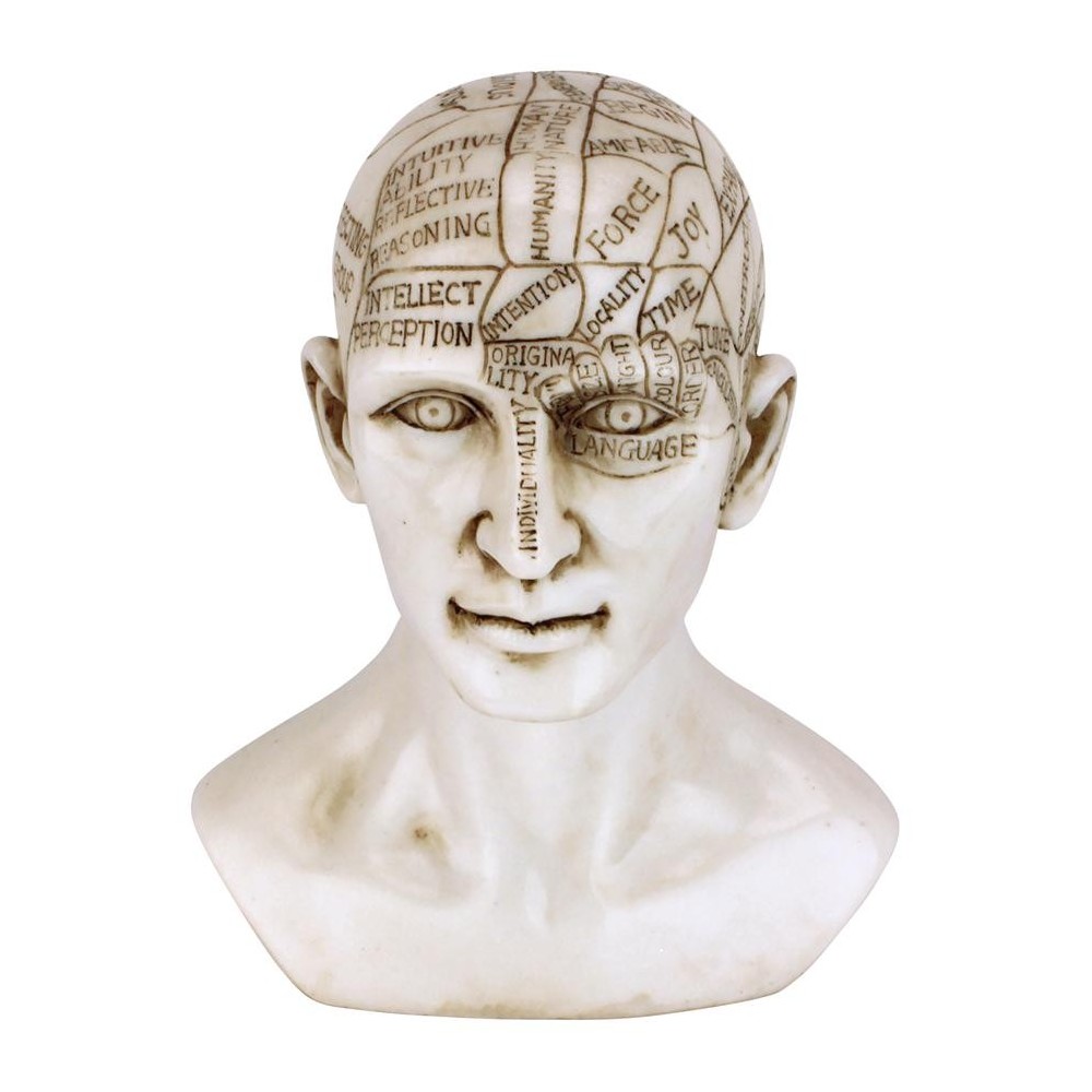 Design Toscano Phrenology Science Of The Brain Statue