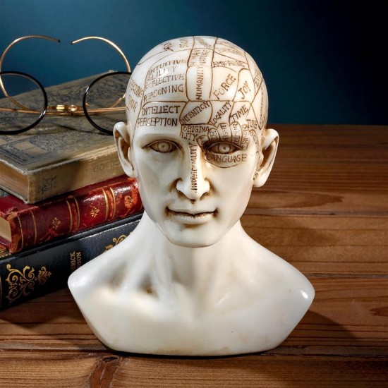 Design Toscano Phrenology Science Of The Brain Statue