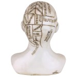 Design Toscano Phrenology Science Of The Brain Statue