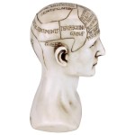 Design Toscano Phrenology Science Of The Brain Statue