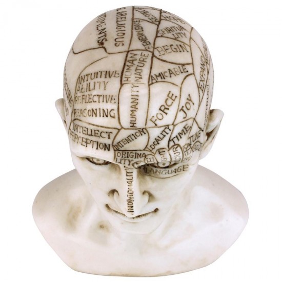 Design Toscano Phrenology Science Of The Brain Statue