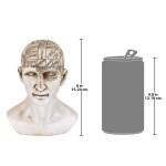 Design Toscano Phrenology Science Of The Brain Statue