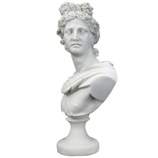 Design Toscano Apollo Belvedere Bust