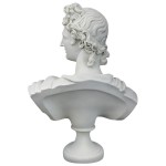 Design Toscano Apollo Belvedere Bust