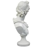 Design Toscano Apollo Belvedere Bust