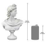 Design Toscano Apollo Belvedere Bust