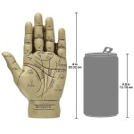 Design Toscano Palmistry Hand