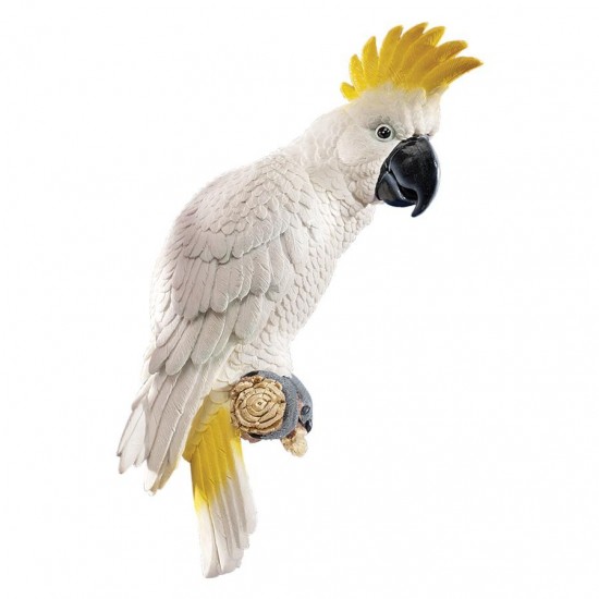 Design Toscano Sulphur Crested Cockatoo