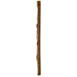 Design Toscano Medium King Tut Cartouche Wall Sculpture