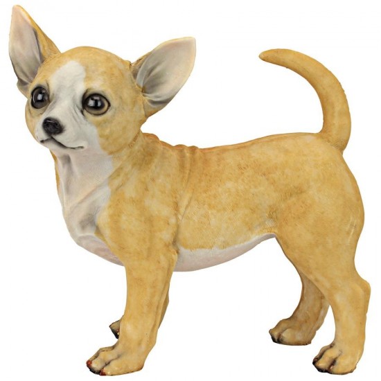 Design Toscano Fernando The Chihuahua Dog Statue