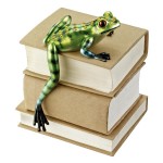 Design Toscano Jungle Forest Tree Frog Shelf Sitter