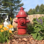 Design Toscano Fire Hydrant Statue