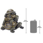 Design Toscano Medium Threes A Crowd Turtle Statue