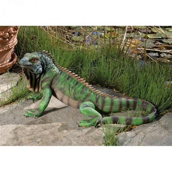 Design Toscano Iggy The Iguana Statue