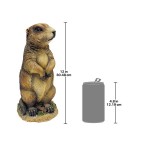 Design Toscano Pesty The Garden Gopher Statue