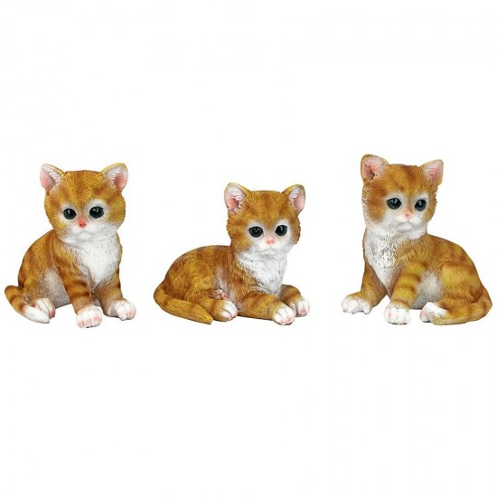 Design Toscano S/3 Tabby Kitten Statues