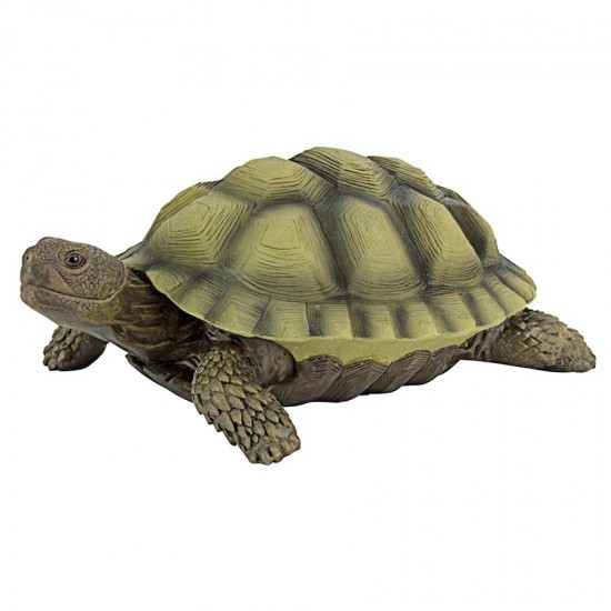 Design Toscano Gilbert The Box Turtle Statue