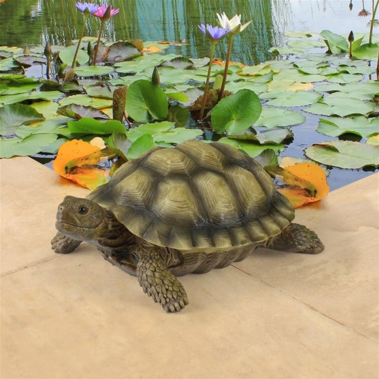 Design Toscano Gilbert The Box Turtle Statue