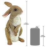 Design Toscano Hopper The Bunny Garden Rabbit Statue