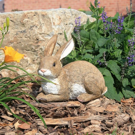 Design Toscano Bashful The Lying Down Bunny Statue