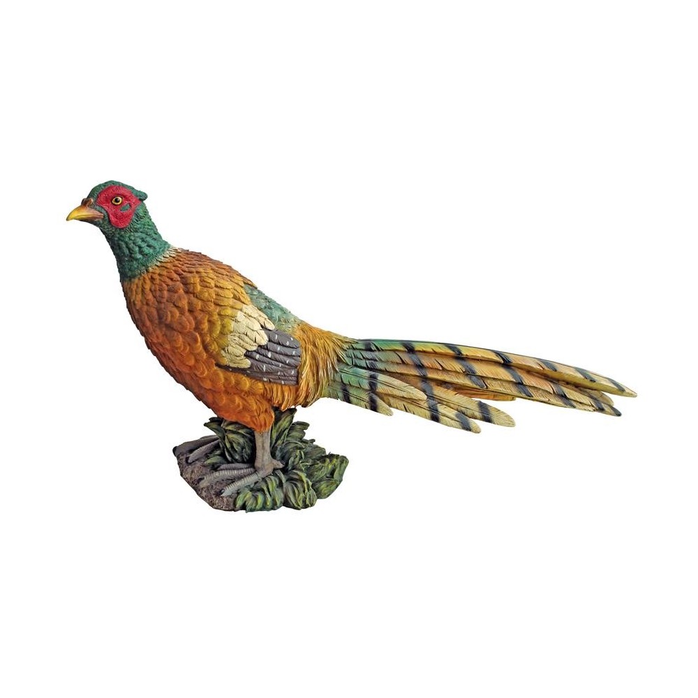 Design Toscano Standing Pheasant Game Bird Statue Design Toscano Standing Pheasant Game Bird Statue