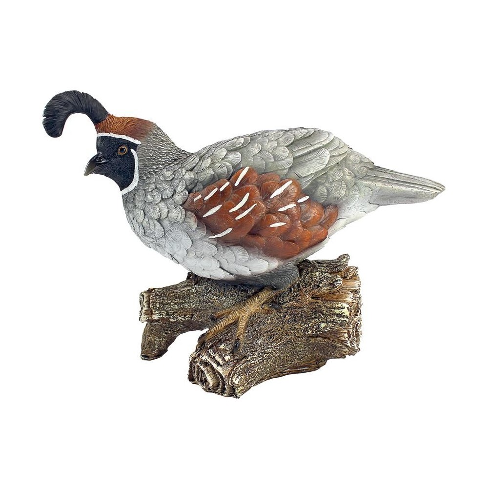 Design Toscano Coco The Quail Bird Statue Design Toscano Coco The Quail Bird Statue