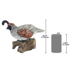 Design Toscano Coco The Quail Bird Statue