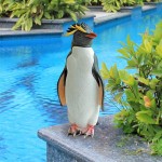 Design Toscano Rock Hopper Penguin Statue