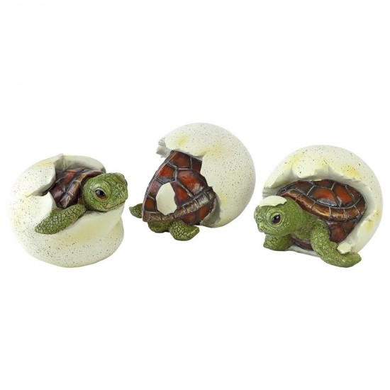 Design Toscano S/3 Out Of The Shell Baby Turtle Statues