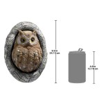 Design Toscano Octavius Knot Hole Owl