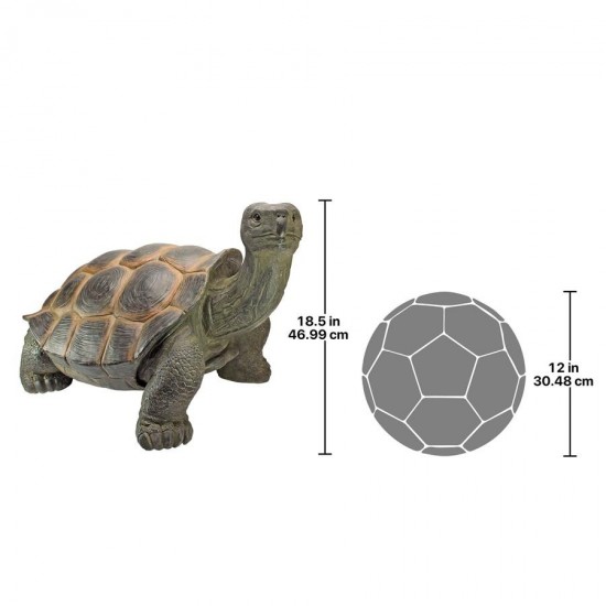 Design Toscano Elephant Tortoise Statue