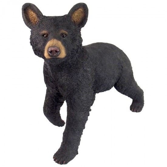 Design Toscano Snooping Cub Black Bear Statue