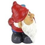 Design Toscano Large Loonie Moonie Gnome