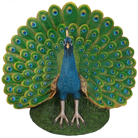 Design Toscano Peacock Plumage Garden Statue