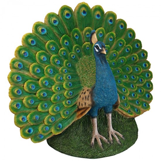 Design Toscano Peacock Plumage Garden Statue