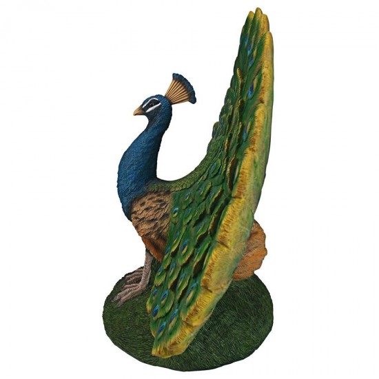 Design Toscano Peacock Plumage Garden Statue