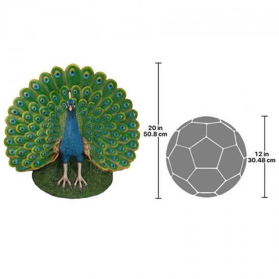 Design Toscano Peacock Plumage Garden Statue