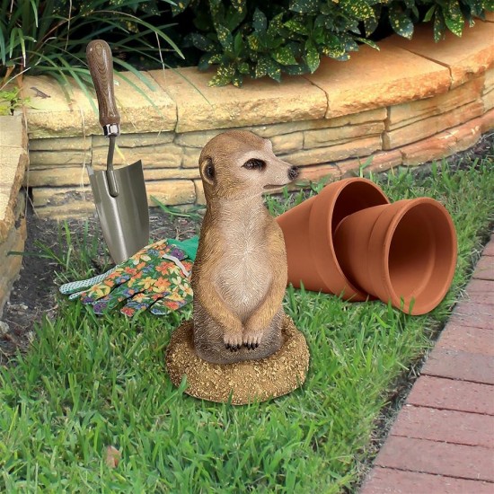 Design Toscano Meerkat Coming Out Of Ground Statue