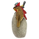 Design Toscano Birdy Welcome Garden Stone Statue Medium