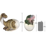 Design Toscano S/2 Baby Dinosaur Eggs