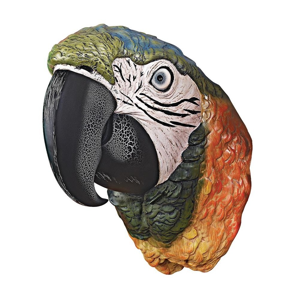 Design Toscano Paradise Parrot Head Plaque