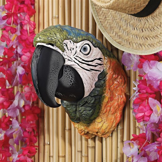 Design Toscano Paradise Parrot Head Plaque