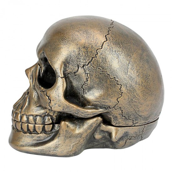 Design Toscano Memento Mori Skull Clock